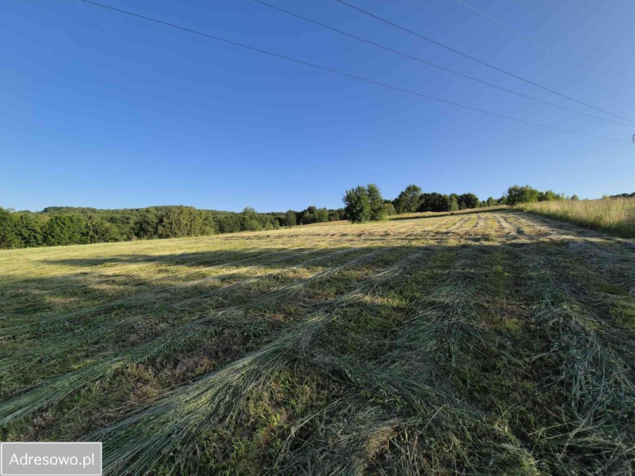 Działka inwestycyjna Rzeszów, ul. Wacława Nycza. Zdjęcie 5