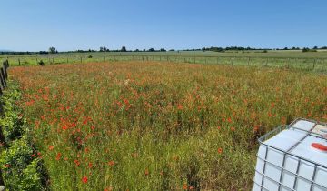 Działka budowlana Brzeg Dolny