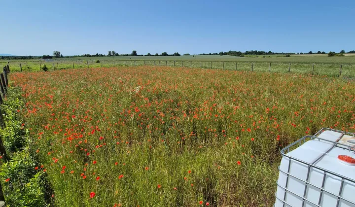 Działka budowlana Brzeg Dolny