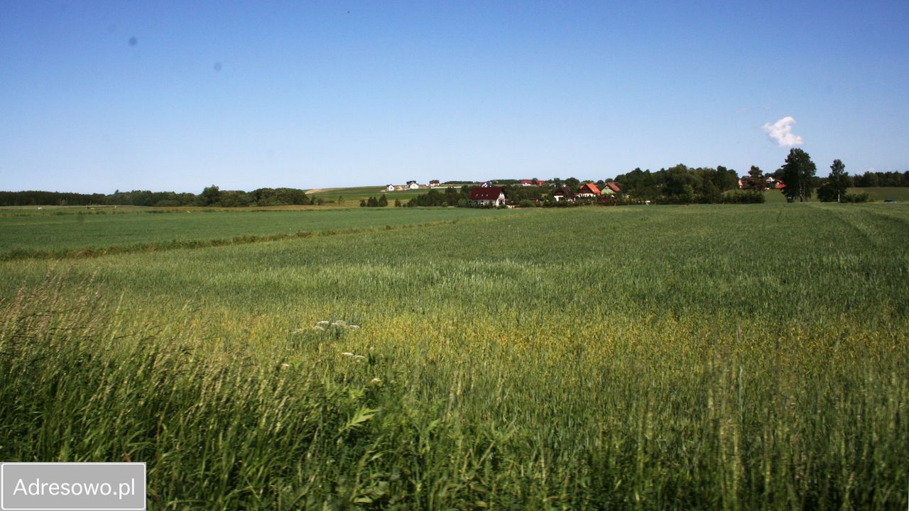 Działka budowlana Pręgowo. Zdjęcie 8