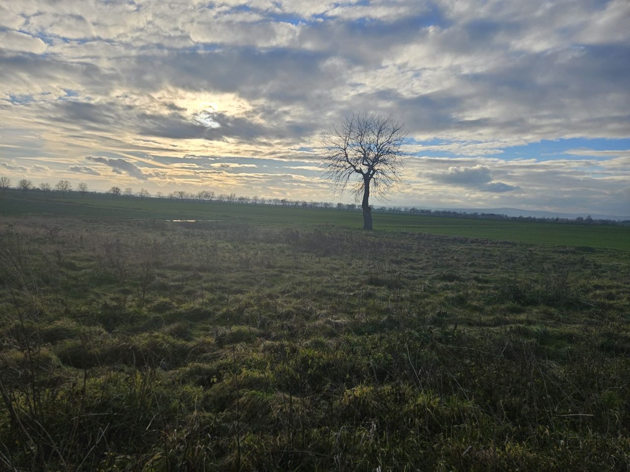 Działka rolna Snowidza. Zdjęcie 7