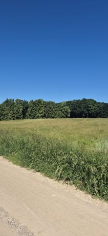 Działka rekreacyjna Sasino, ul. Stara Cegielnia. Zdjęcie 3