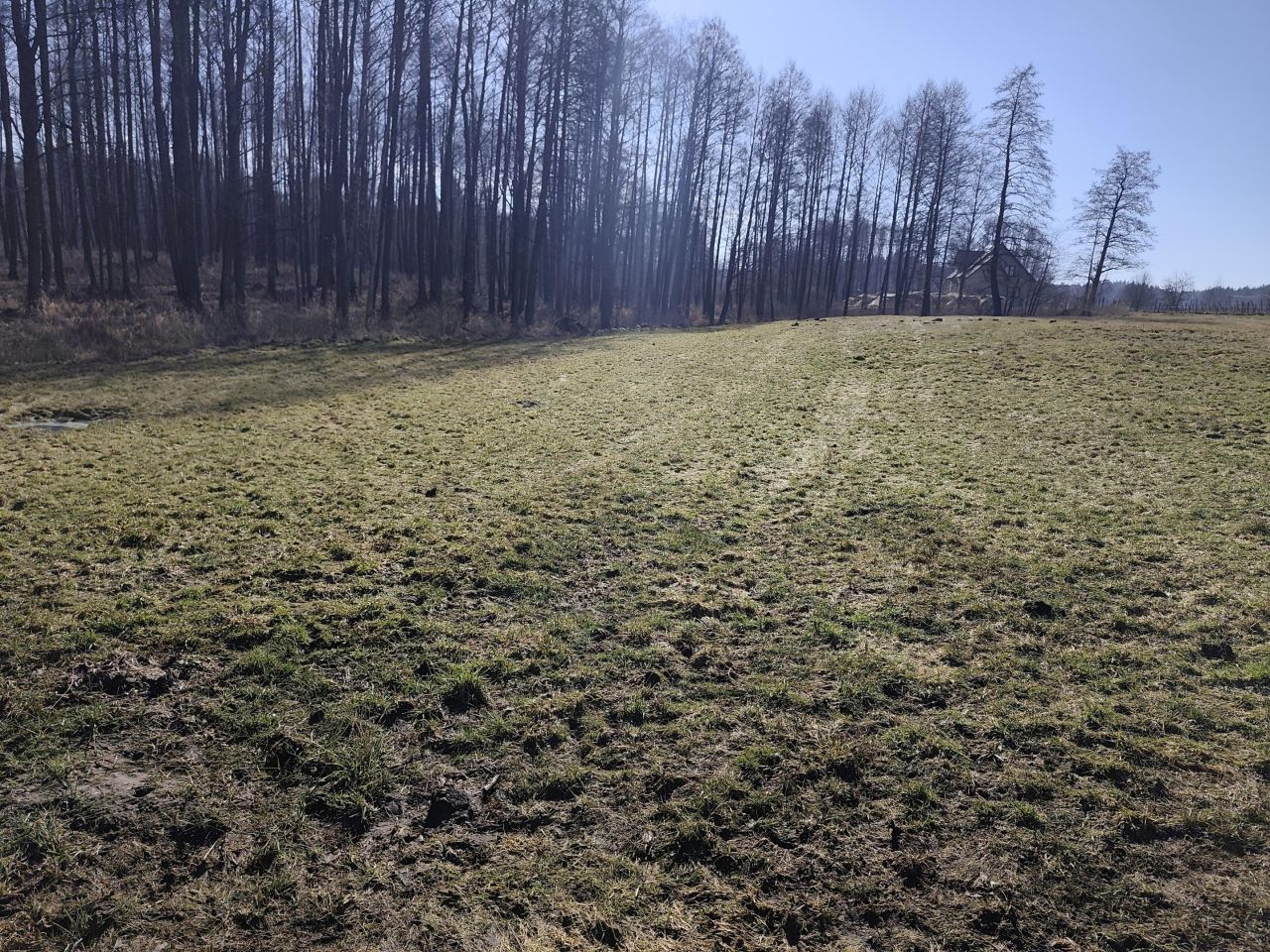 Działka rolna Okopy. Zdjęcie 6