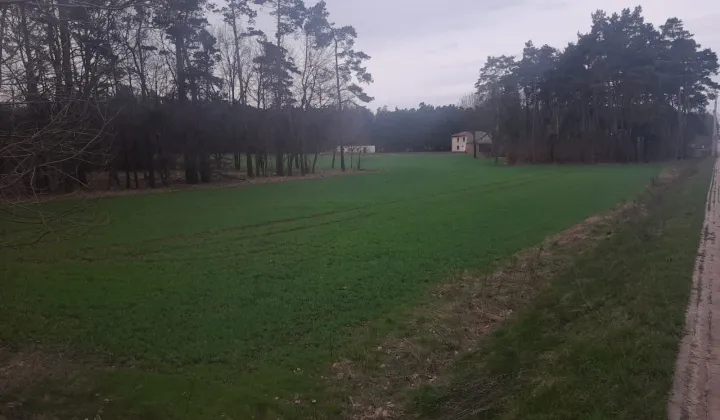 Działka inwestycyjna Szczepanek