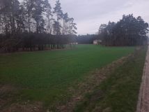 Działka inwestycyjna Szczepanek