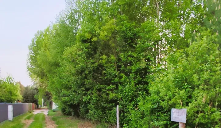 Działka rolno-budowlana Siemianówka Maruszka, ul. Łabędzia