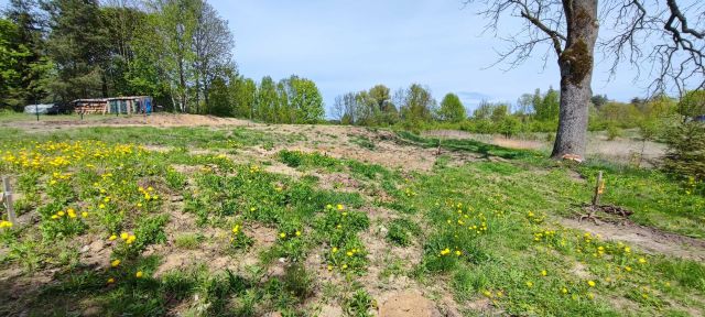 Działka rolno-budowlana Szczybały Giżyckie. Zdjęcie 1