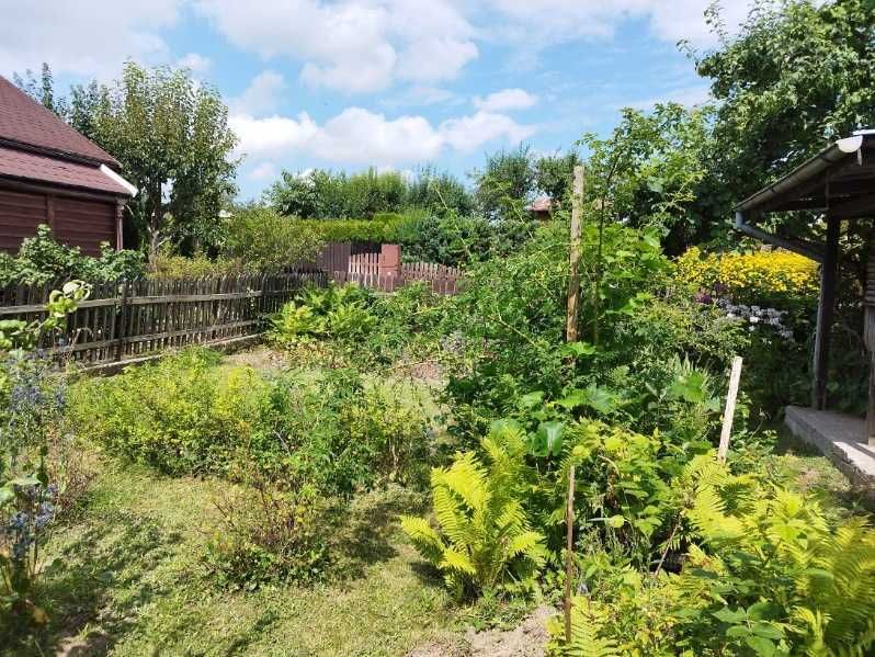 Działka rod Suwałki. Zdjęcie 2