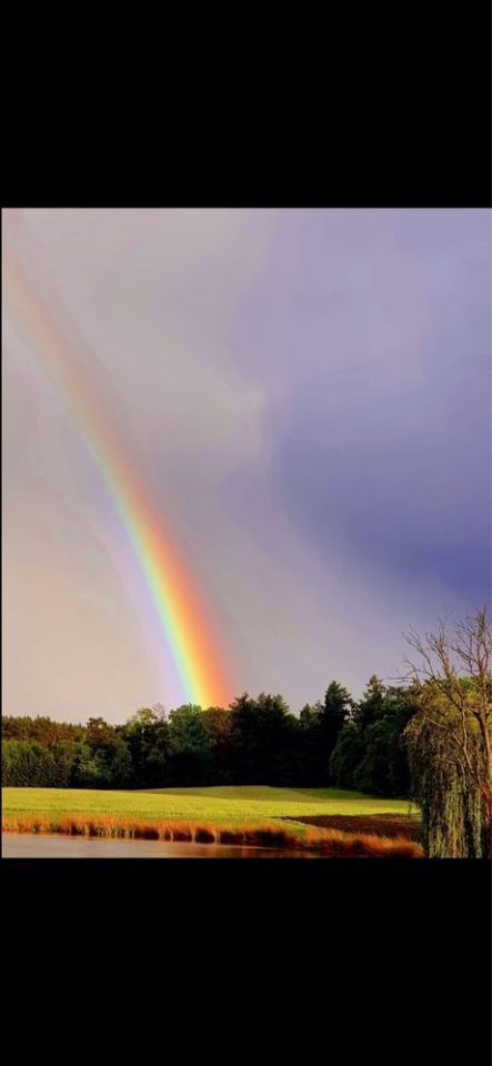 Działka budowlana Chełm Dolny. Zdjęcie 4