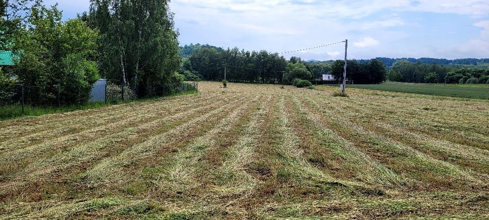 Działka budowlana Złota. Zdjęcie 4