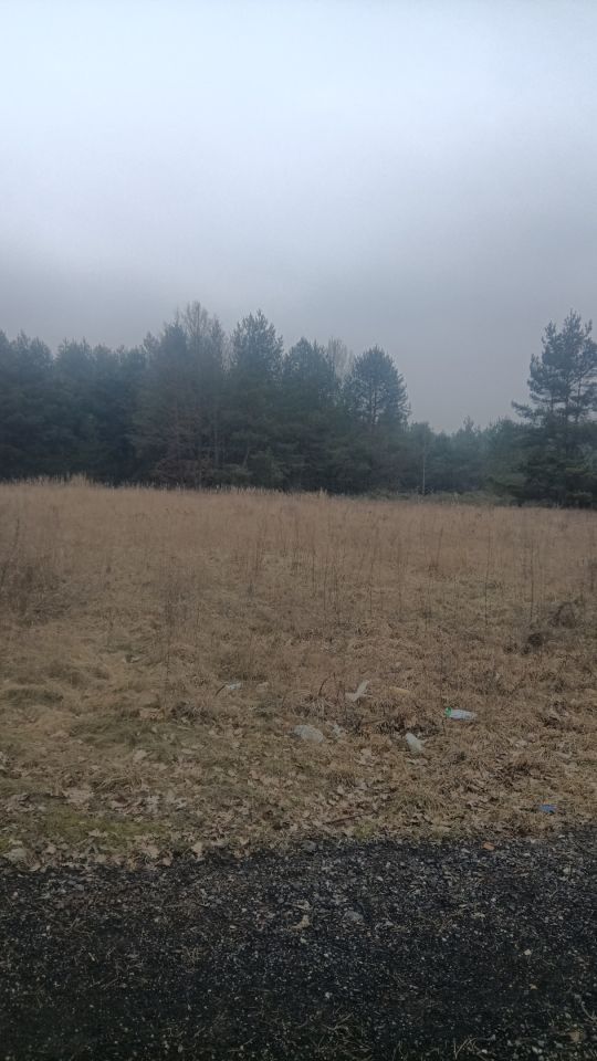 Działka budowlana Sucha, ul. Zaciszna. Zdjęcie 9