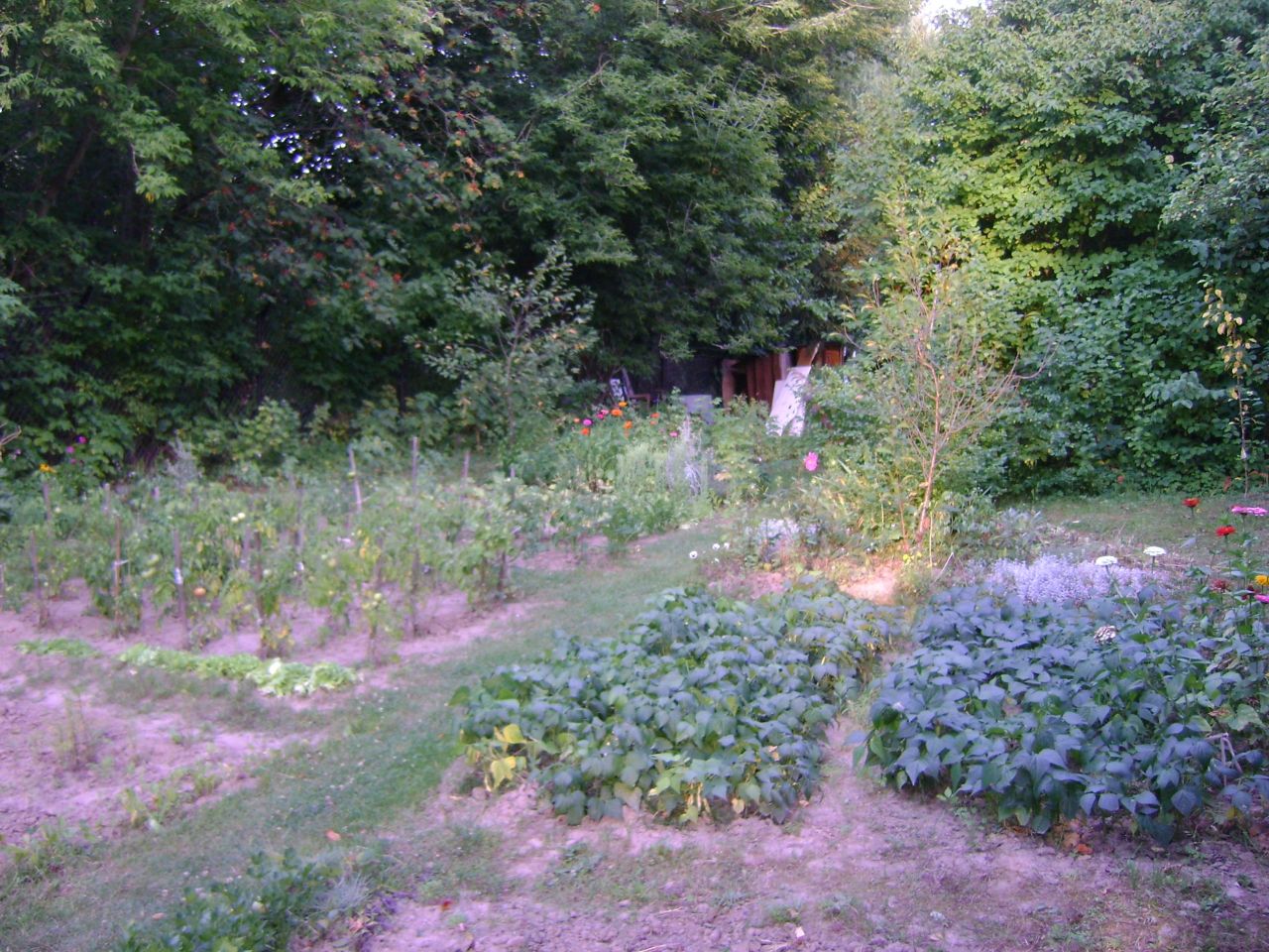 Działka rod Lublin Szerokie, ul. Nałęczowska. Zdjęcie 6