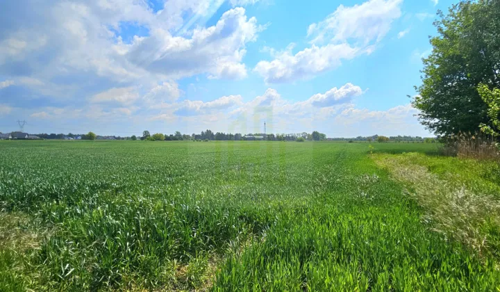 Działka budowlana Bieniewice, ul. Słowicza