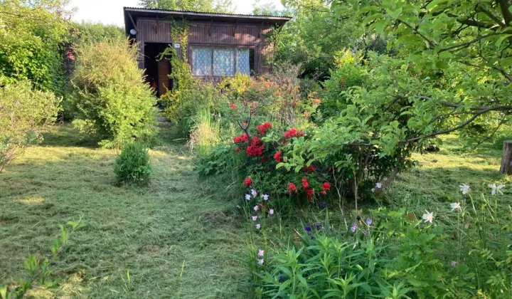 Działka rod Wadowice