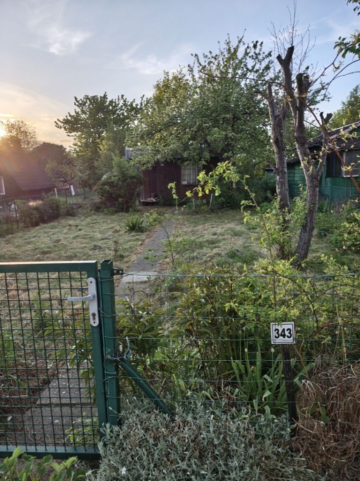 Działka rod Gdańsk Olszynka. Zdjęcie 6
