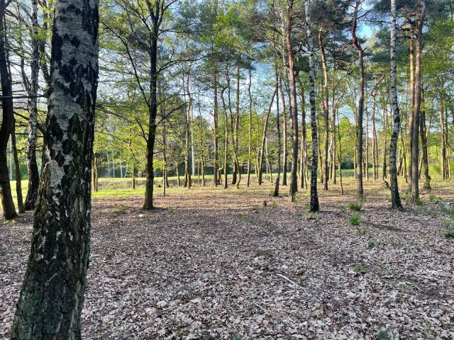 Działka budowlana Skierniewice Feliksów, ul. Przechodnia. Zdjęcie 1