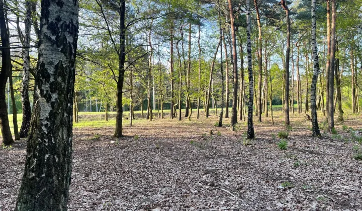 Działka budowlana Skierniewice Feliksów, ul. Przechodnia