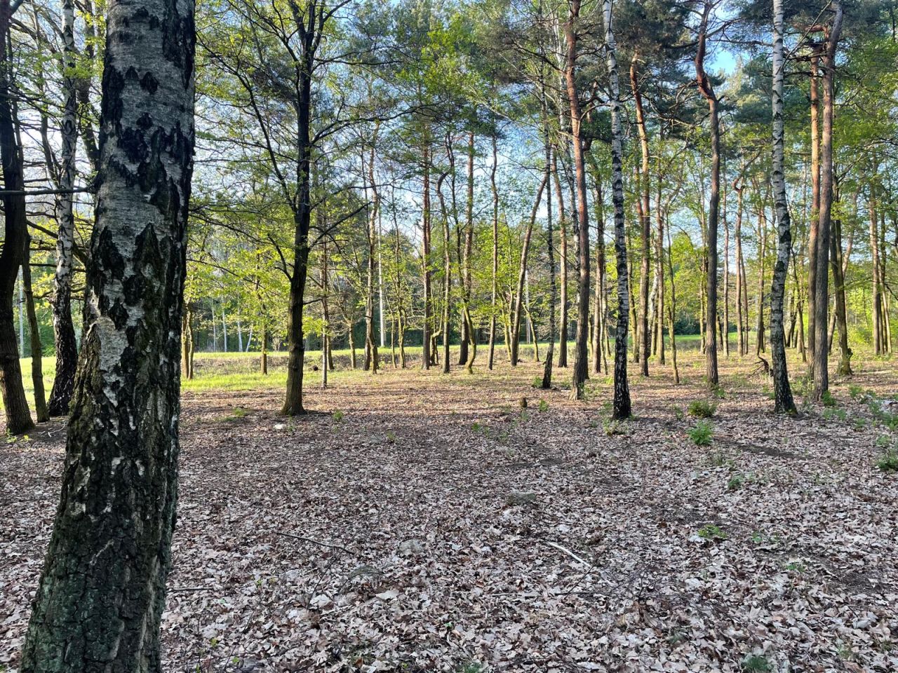 Działka budowlana Skierniewice Feliksów, ul. Przechodnia. Zdjęcie 1