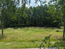 Działka budowlana Grodzisko. Zdjęcie 4