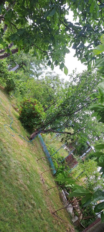 Działka rod Gdynia Wielki Kack, ul. Grodnieńska. Zdjęcie 7