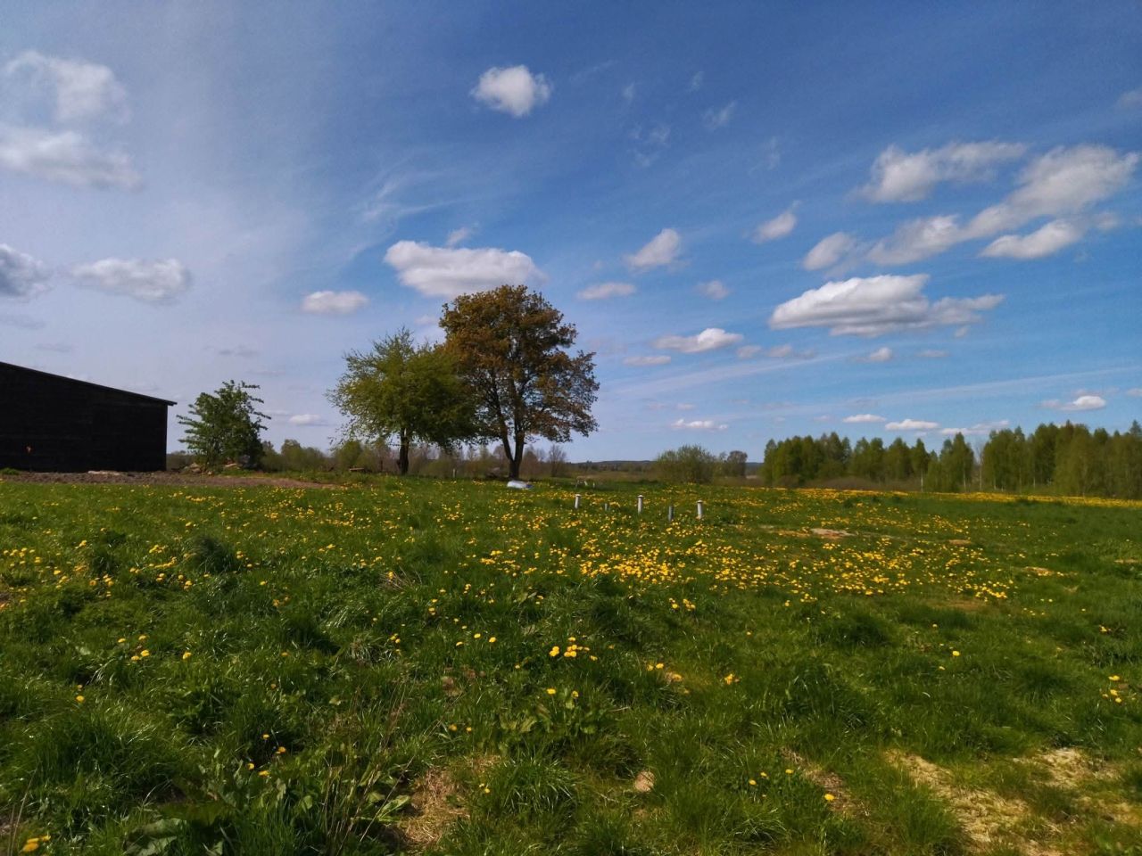 Działka rekreacyjna Raj. Zdjęcie 9