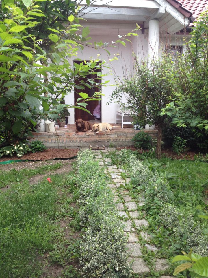 dom wolnostojący, 4 pokoje Żórawie, ul. Poziomkowa. Zdjęcie 5