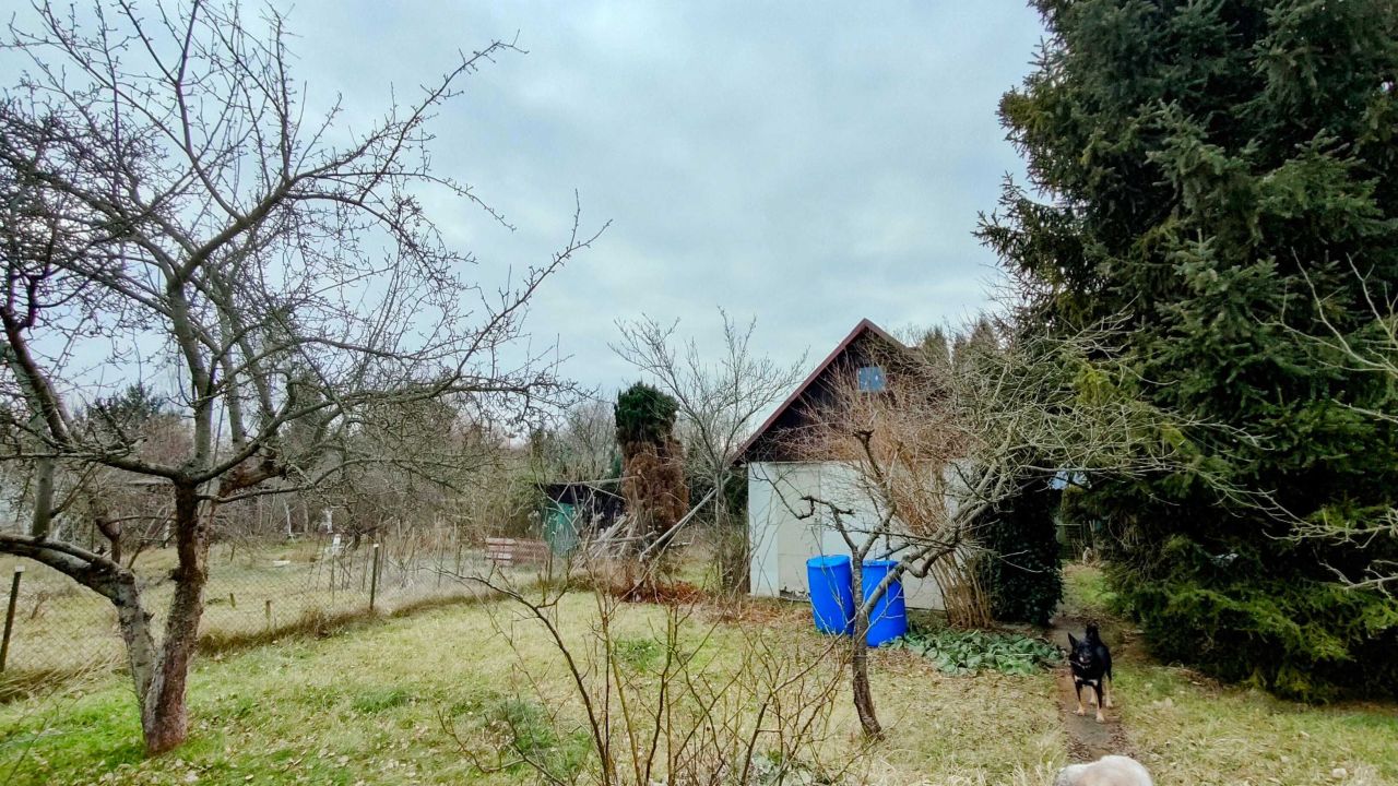 Działka rod Wrocław Marszowice, ul. Wilkszyńska. Zdjęcie 8