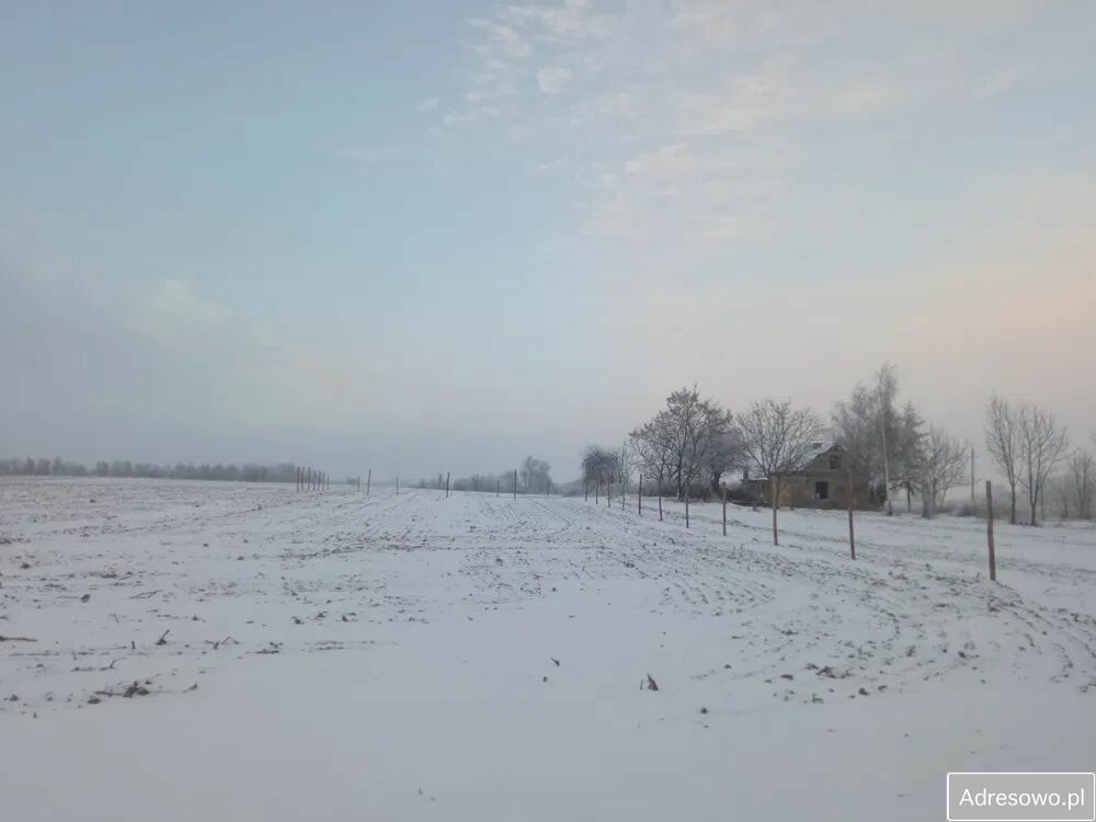 Działka siedliskowa Bachorzewo. Zdjęcie 4