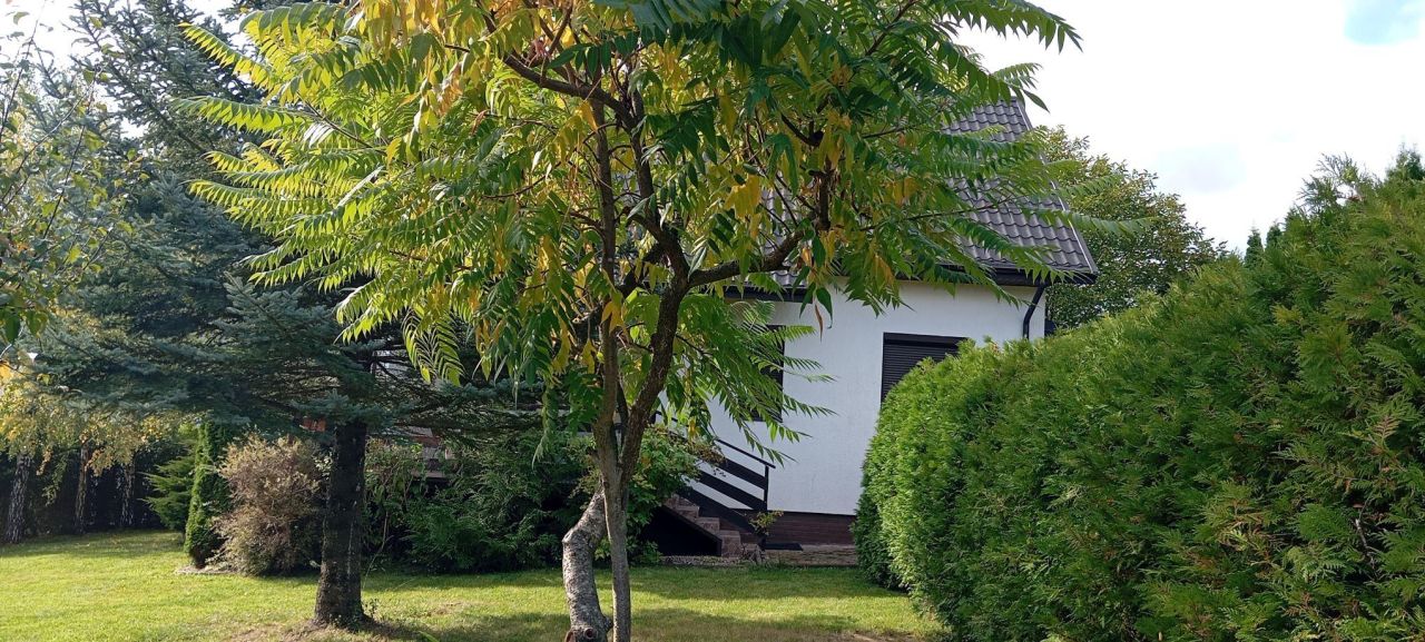 dom letniskowy, 4 pokoje Rajgród Opartowo, ul. Opartowo. Zdjęcie 6