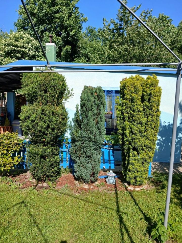 Działka rod Wrocław Psie Pole, ul. Toruńska. Zdjęcie 4