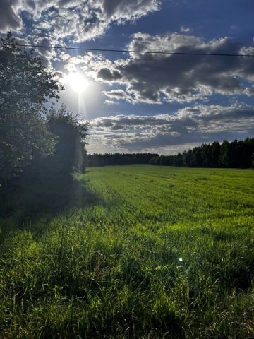 Działka rolno-budowlana Plutycze. Zdjęcie 1