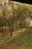 Działka rod Uniszowice. Zdjęcie 3