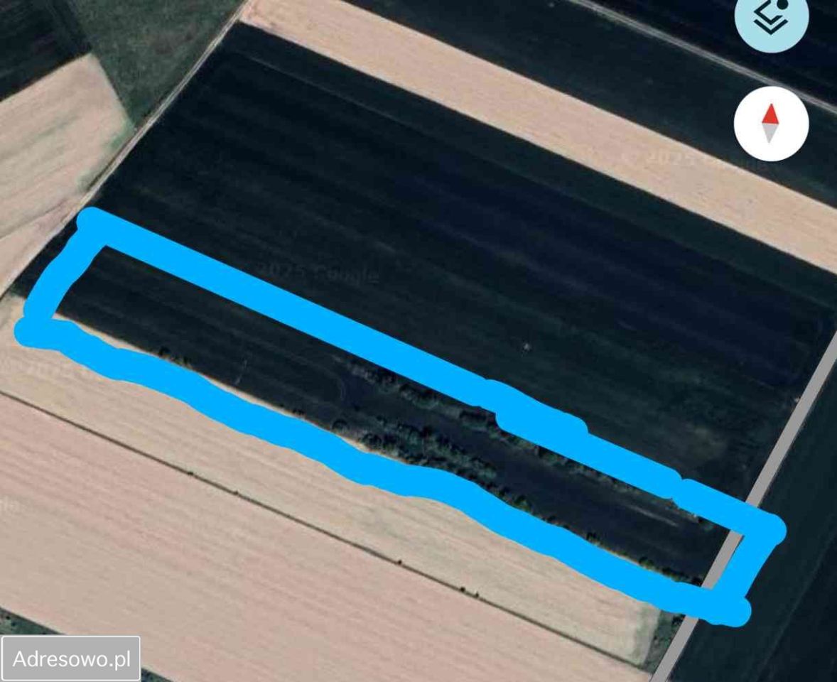 Działka rolna Nowy Lubosz. Zdjęcie 7