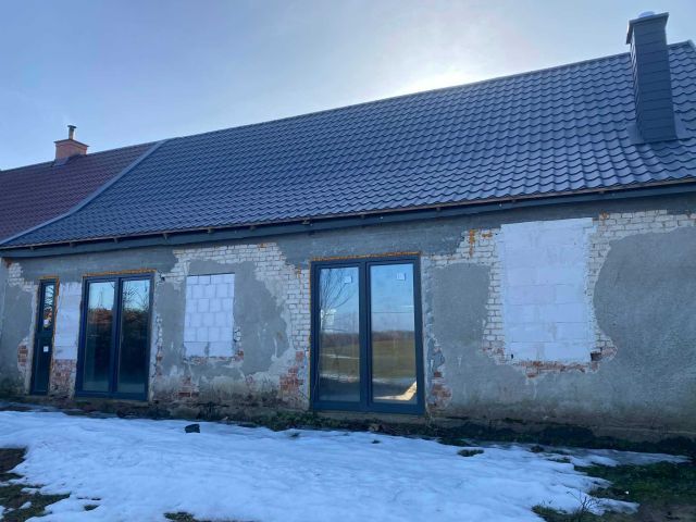 bliźniak Notyst Mały. Zdjęcie 1