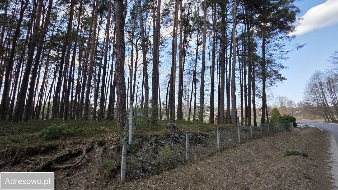 Działka leśna Wólka Łosiniecka. Zdjęcie 20