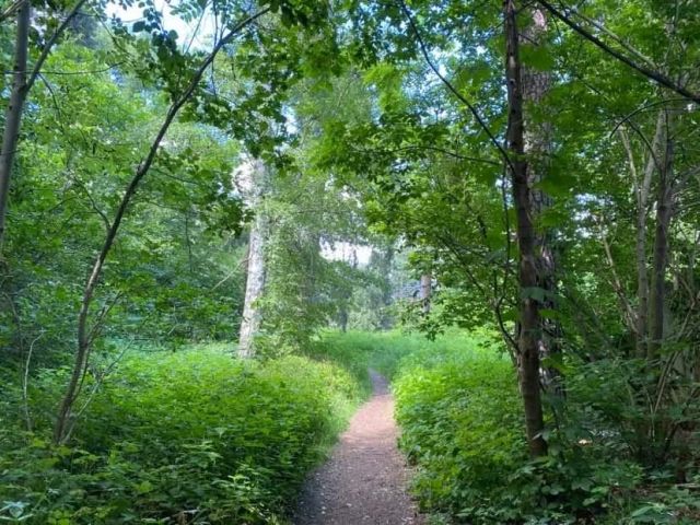 Działka budowlana Głowno Swoboda, ul. Swoboda. Zdjęcie 1