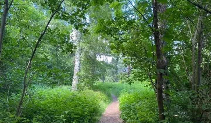 Działka budowlana Głowno Swoboda, ul. Swoboda