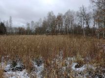 Działka rolna Ciemnik. Zdjęcie 4