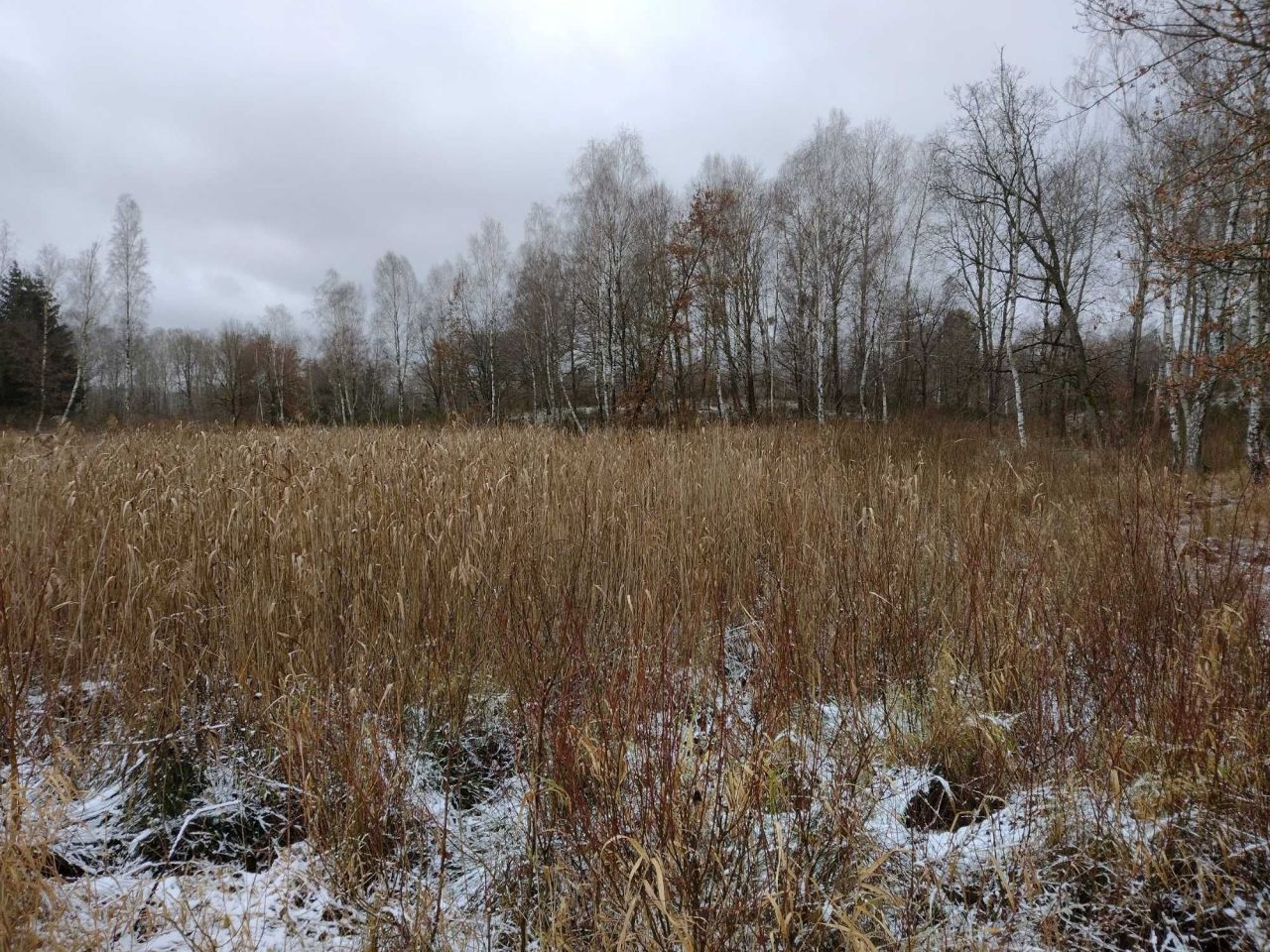 Działka rolna Ciemnik. Zdjęcie 5