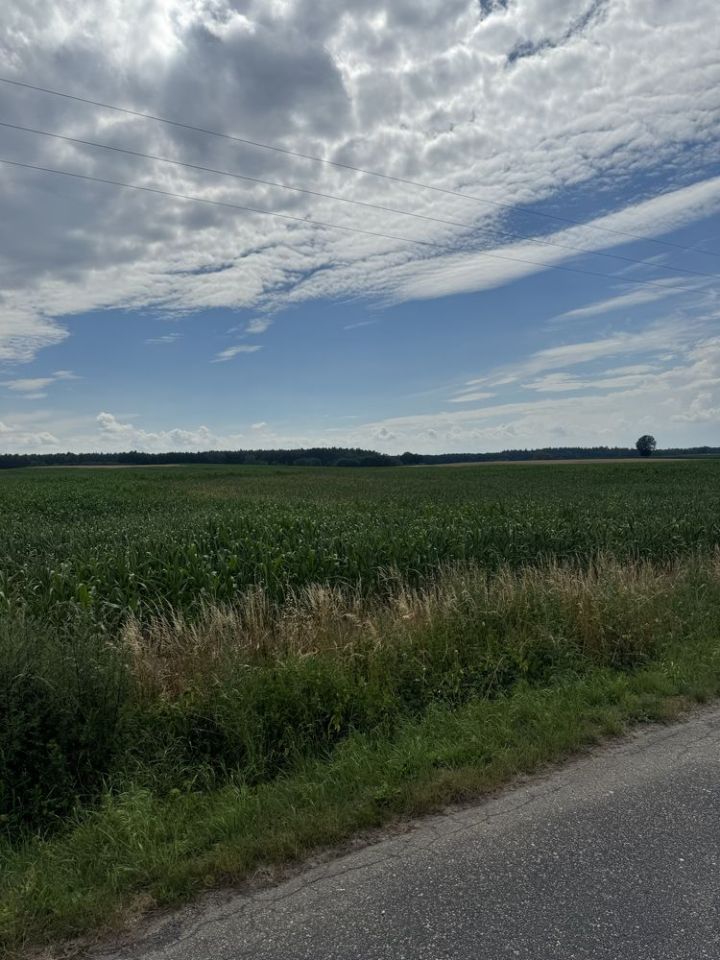 Działka rolno-budowlana Kadłubia. Zdjęcie 4