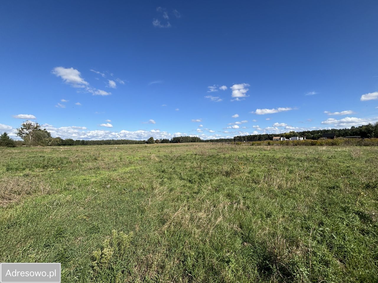 Działka budowlana Ceradz Dolny, ul. Kasztanowa. Zdjęcie 3