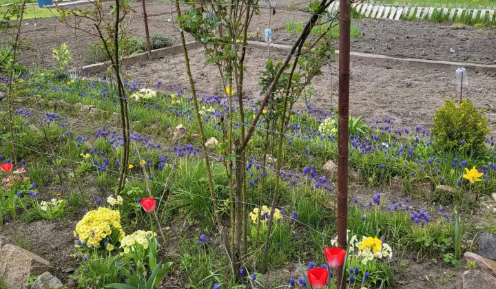 Działka rod Nowa Sól, ul. Chopina