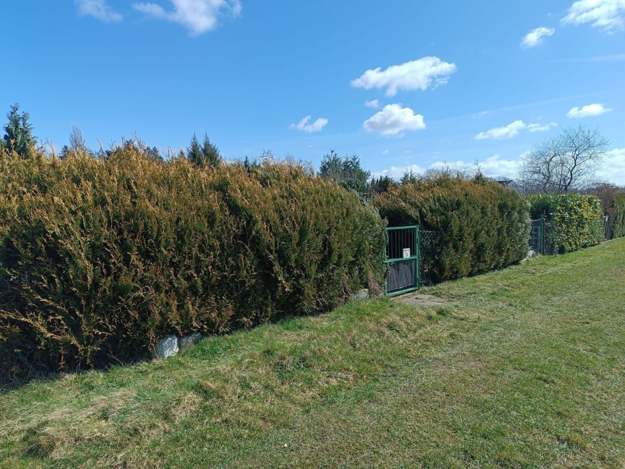 Działka rod Trzebiatów. Zdjęcie 6