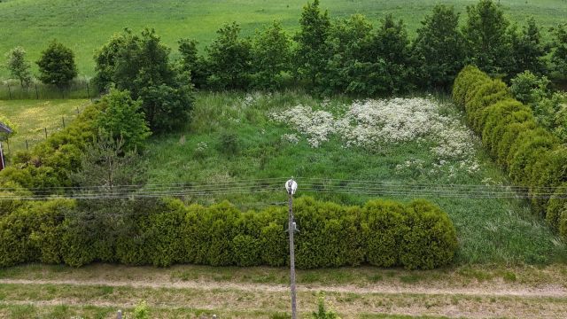 Działka budowlana Talki. Zdjęcie 6