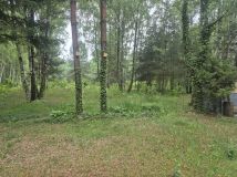 Działka rekreacyjna Kolonie Stanisławów. Zdjęcie 1