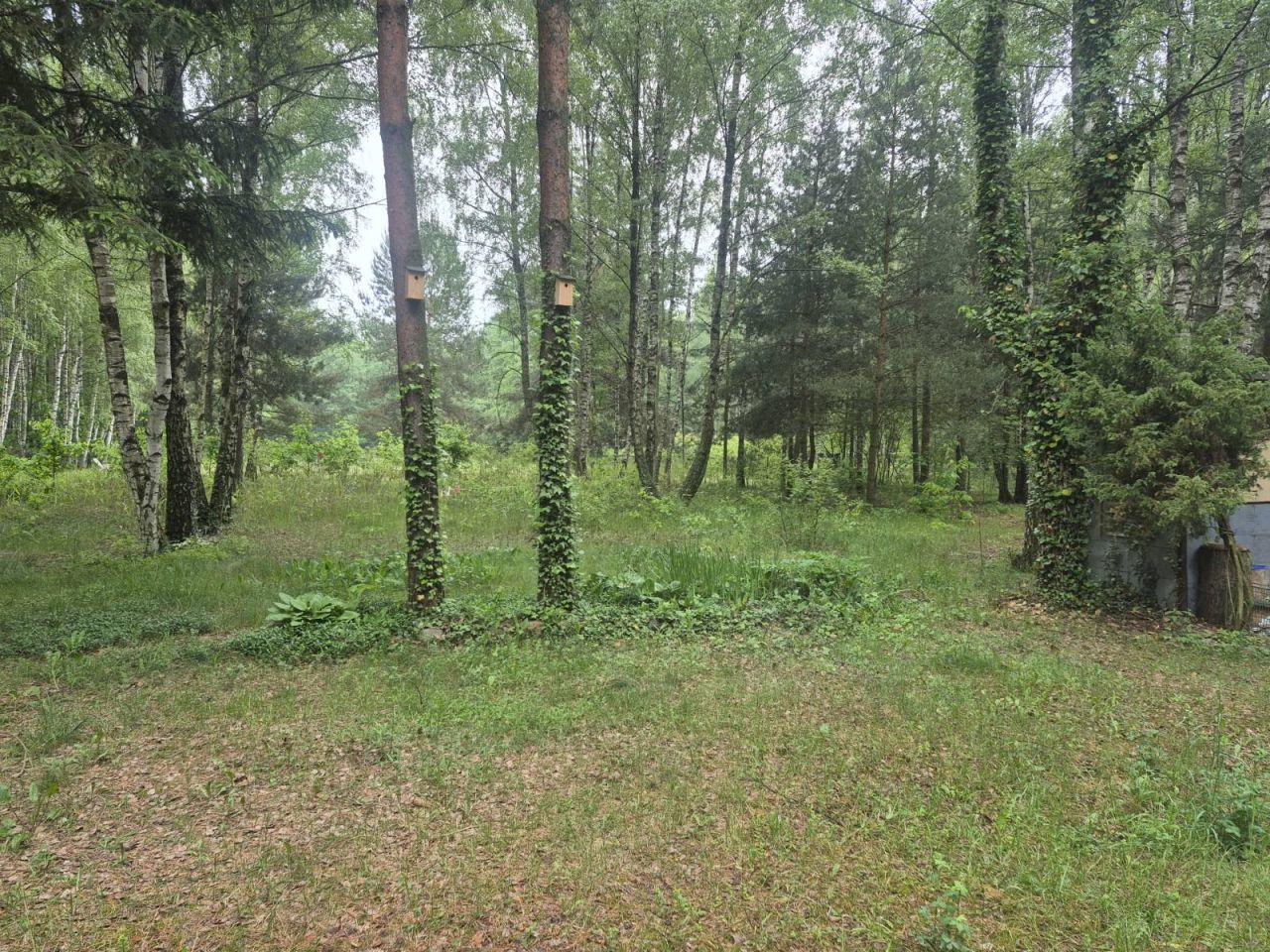 Działka rekreacyjna Kolonie Stanisławów. Zdjęcie 2