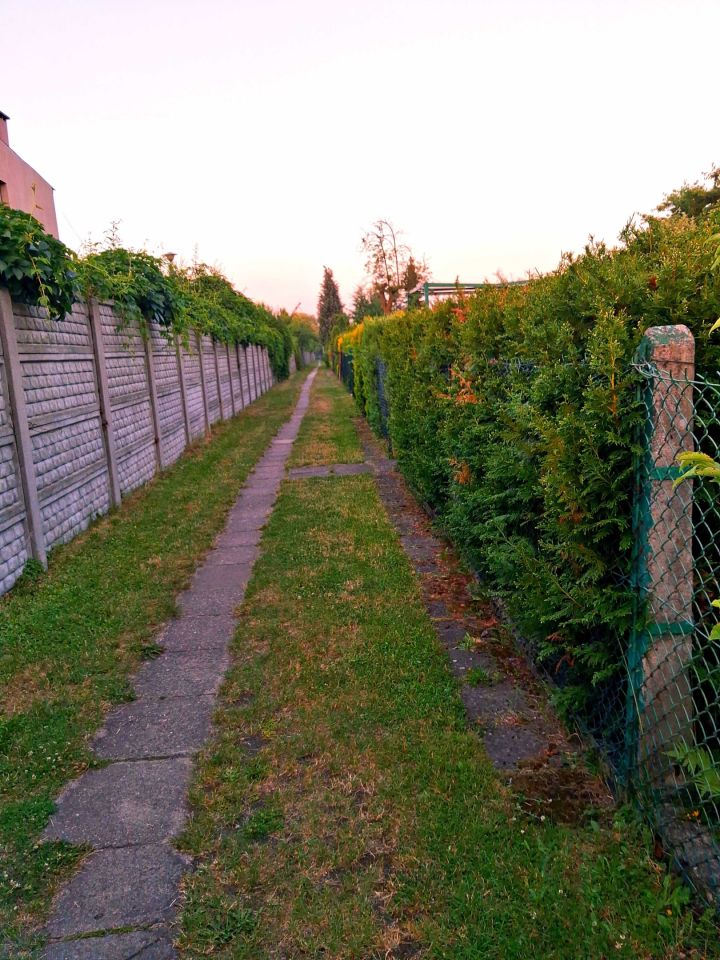 Działka rod Piekary Śląskie. Zdjęcie 2
