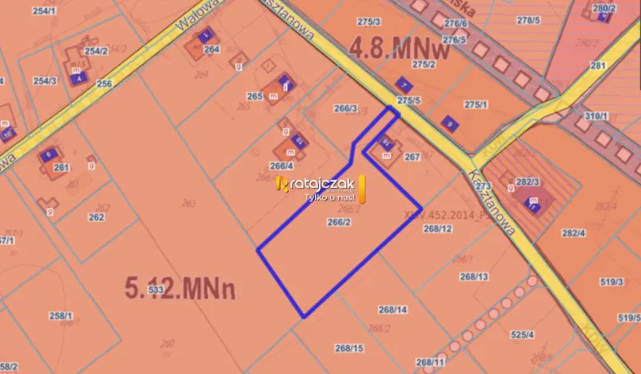 Działka inwestycyjna Drewnica, ul. Kasztanowa