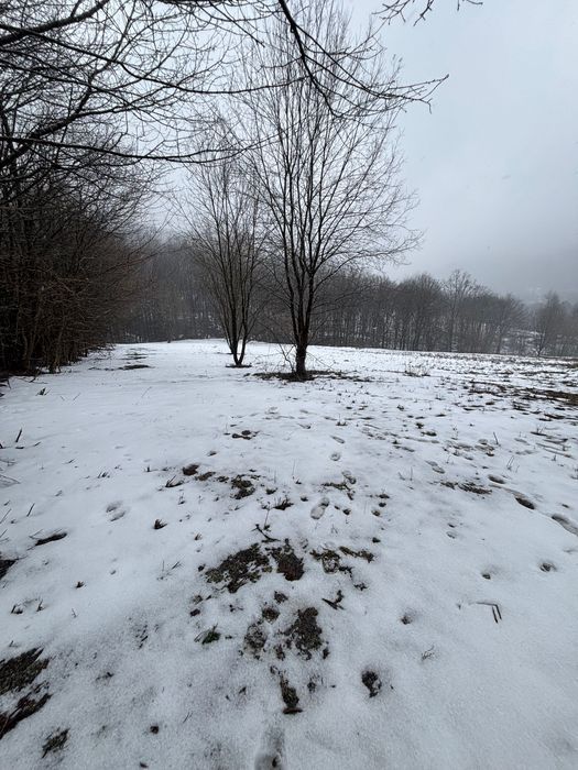 Działka budowlana Rymanów-Zdrój. Zdjęcie 2