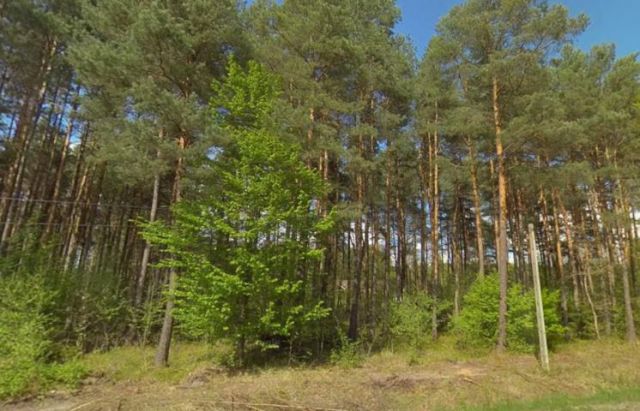 Działka rekreacyjna Brzozowa. Zdjęcie 2